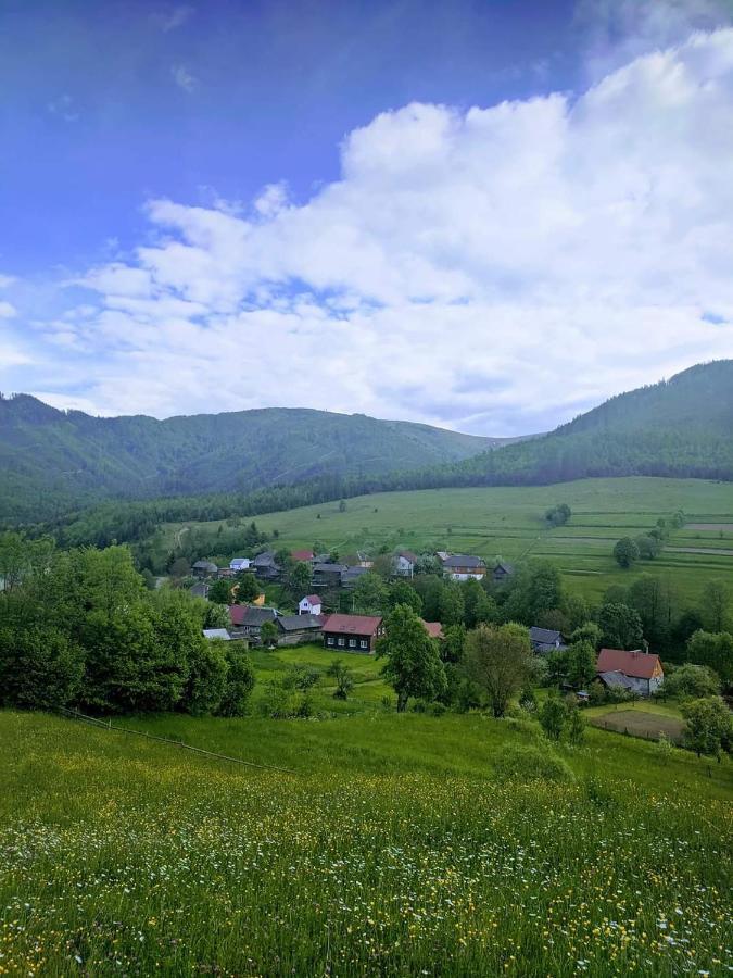 Зачаровані Карпати, Воловець 외부 사진