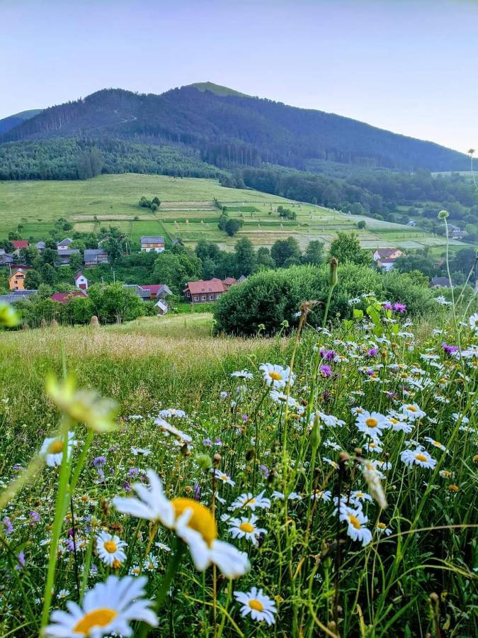 Зачаровані Карпати, Воловець 외부 사진